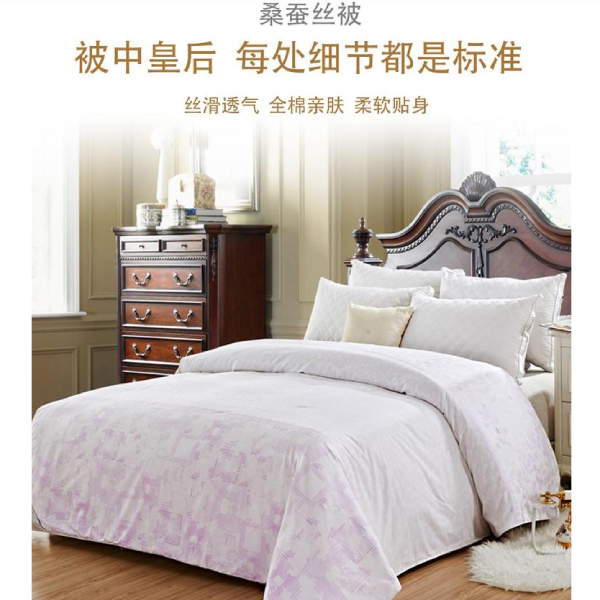 蚕丝被在哪个网站上买-来这家工厂购买[常久]